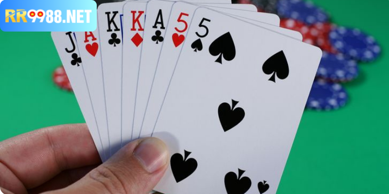 Sexy ACE và những điểm khiến mọi người quan tâm