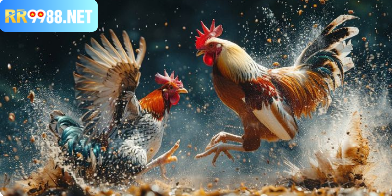 Phân tích kỹ thuật và thông tin 