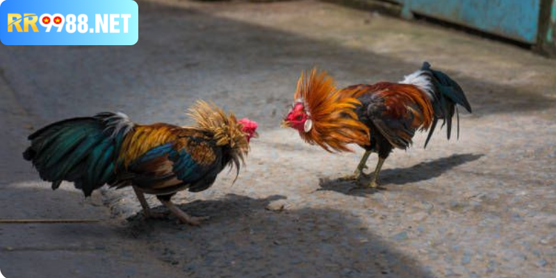 Tìm hiểu, nâng cao kỹ năng phòng